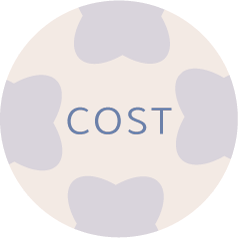 Costs icon