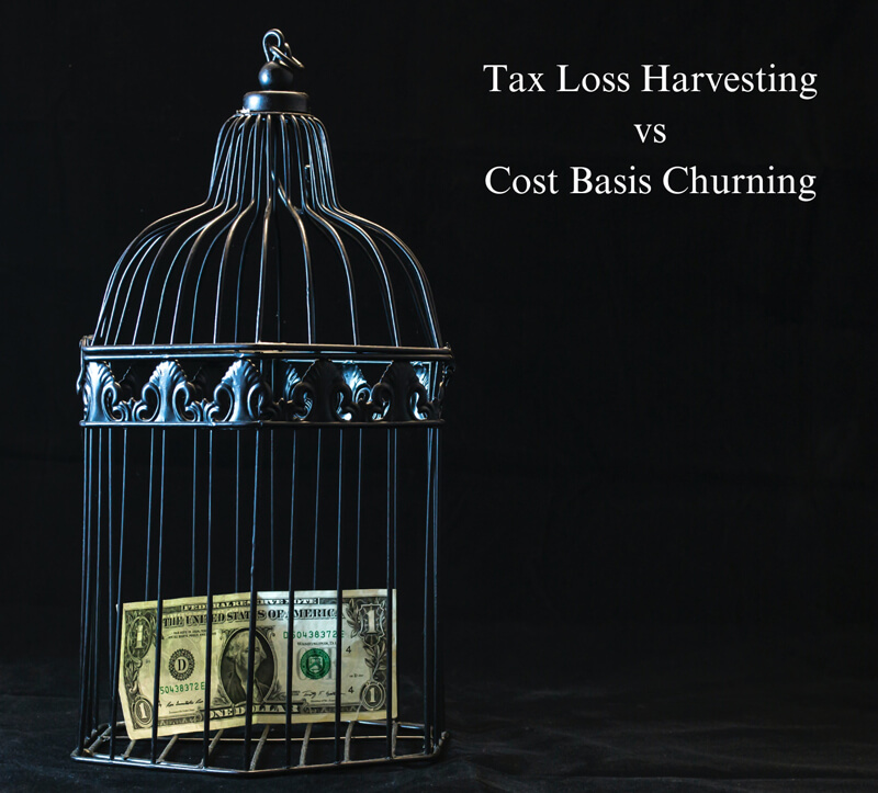 dollar bill in a cage